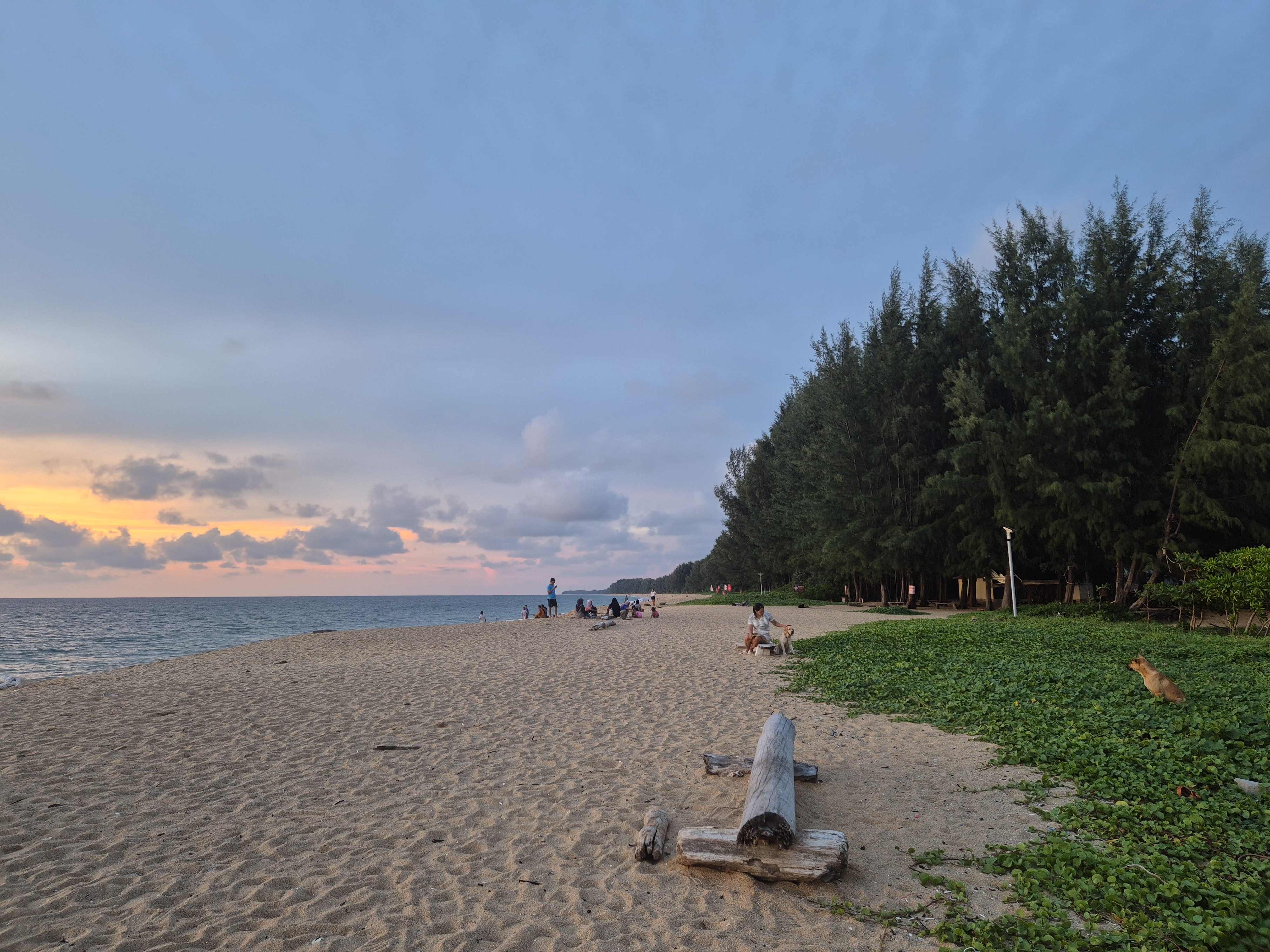 plane spotting Phuket Mai Khao Beach at sunset